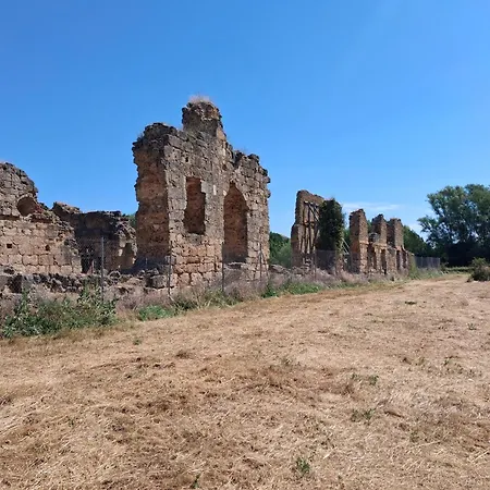 Casa Juan * Santa Olaja de Eslonza